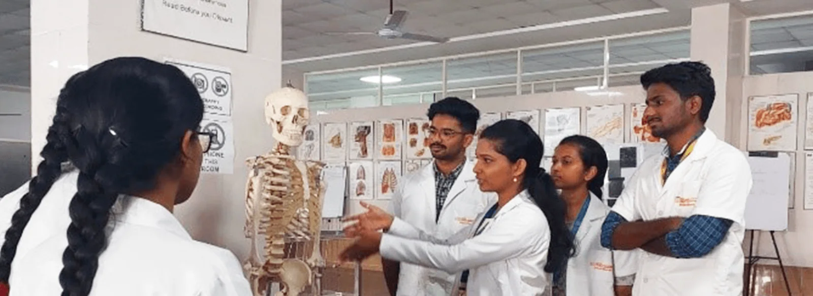 Anatomy Lab